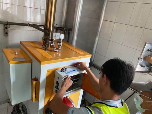 专业蒸汽技术赋能 食品加工蒸汽发生器优化抹茶风味