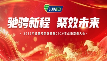 驰骋新程 聚效未来 | 尊龙凯时经营成果回顾及战略部署大会